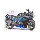 No.202022 ： ZZ-R1100（USA）