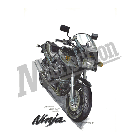 No.202027 ： GPZ900R CUSTOM