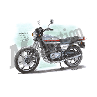 No.202029 ： Z400FX