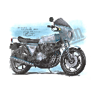 No.202034 ： KZ1000 D1（Z1-R）