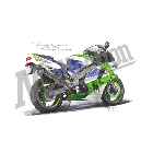 No.202078 ： ZX-9R