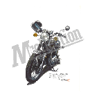 No.202080 ： 650RS (W3)