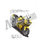 No.203069 ： TL1000R