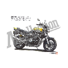 No.206069 ： XJR1300