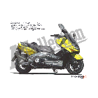 No.206073 ： TMAX