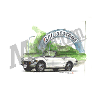 No.401008 ： S 800 M