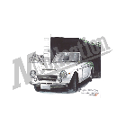 No.401038 ： FAIRLADY 2000